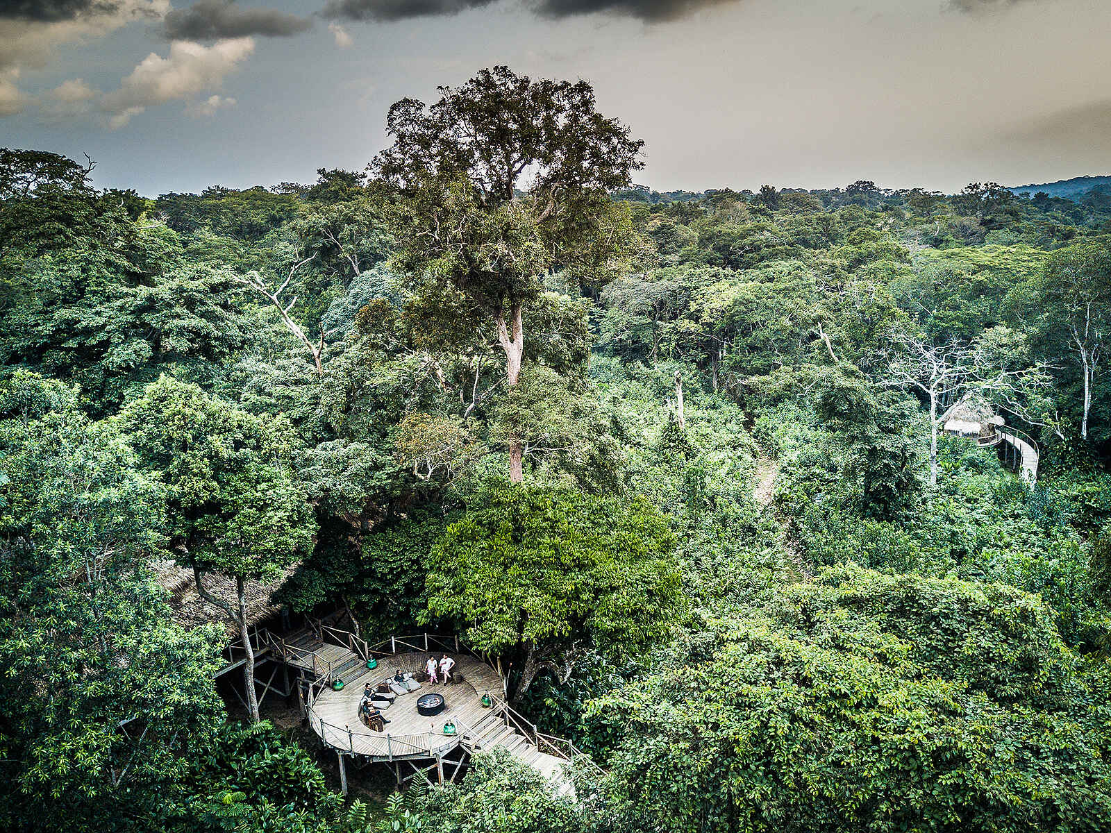 Ngaga Camp: Der umgebende Urwald Ngaga Camp: Der umgebende Urwald