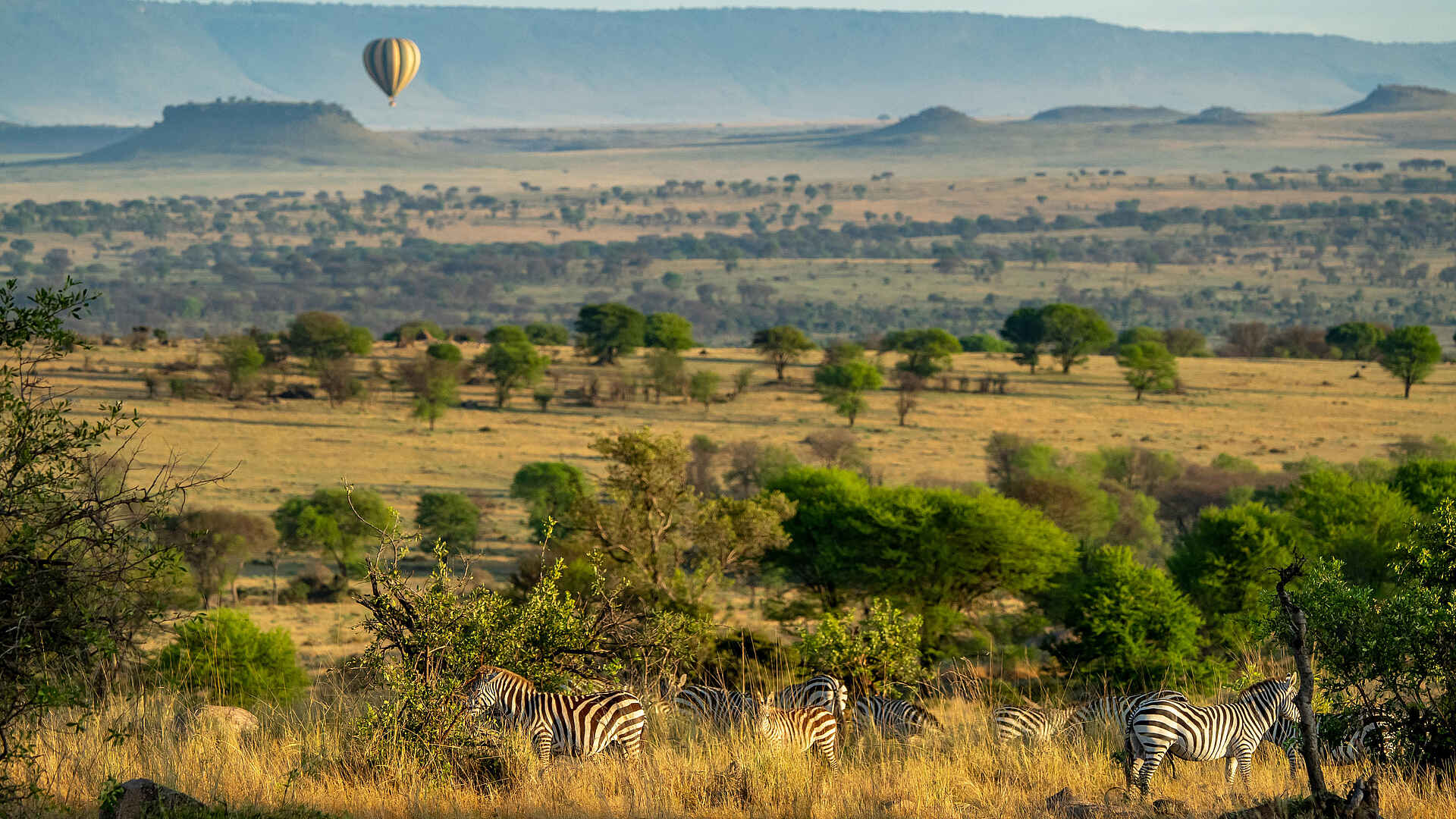 Warangi Ridge Lodge: Ballonsafari mit Zebras