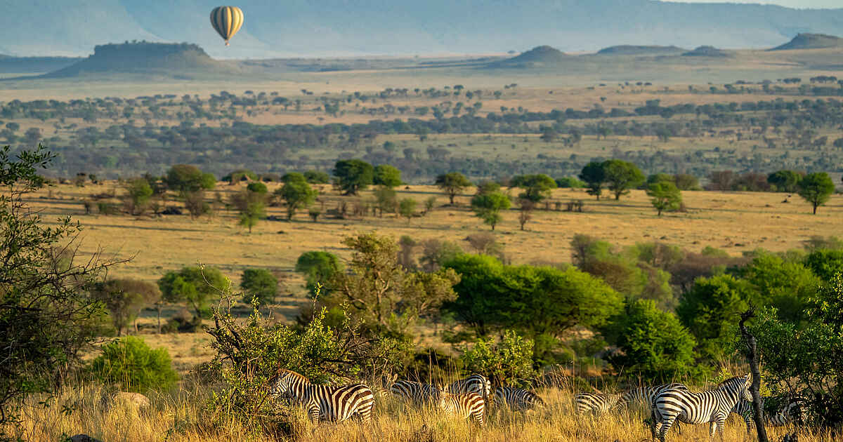 Warangi Ridge Lodge, Serengeti, Tansania | Afrikarma