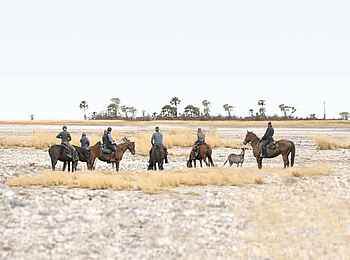 Camp Kalahari: Ausritt während der Trockenzeit