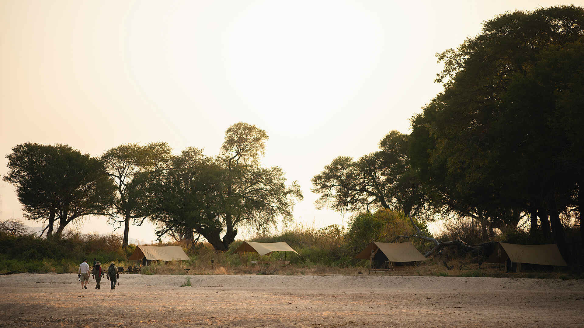 Charlie Ruaha Safari Camp: Zelte Layout