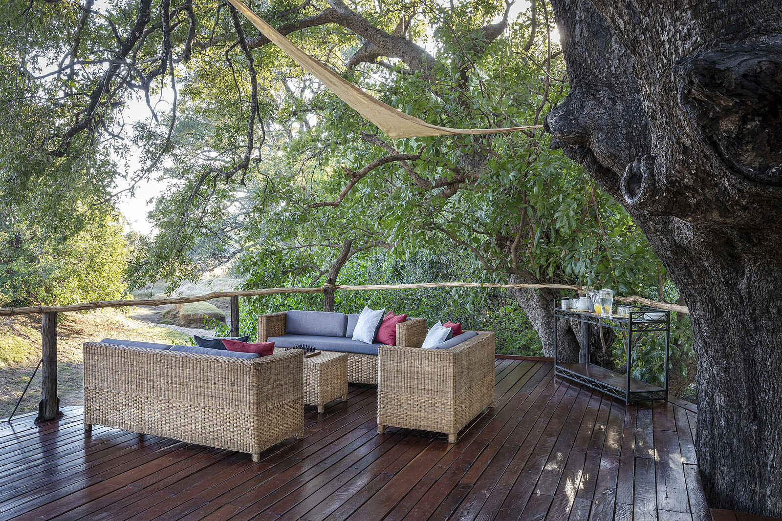 Chikoko Tree Camp: Die Terrasse Chikoko Tree Camp: Die Terrasse