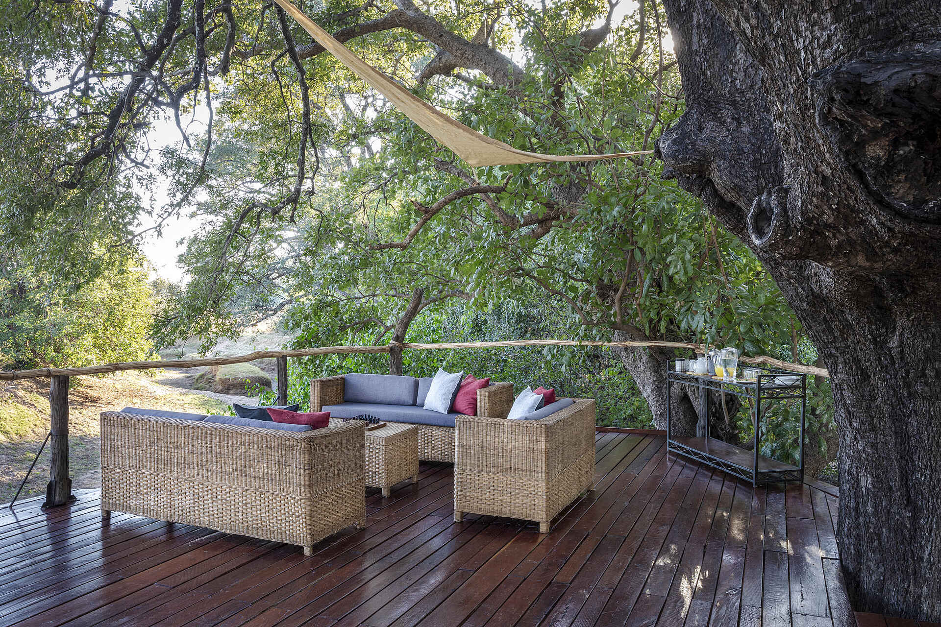 Chikoko Tree Camp: Die Terrasse Chikoko Tree Camp: Die Terrasse