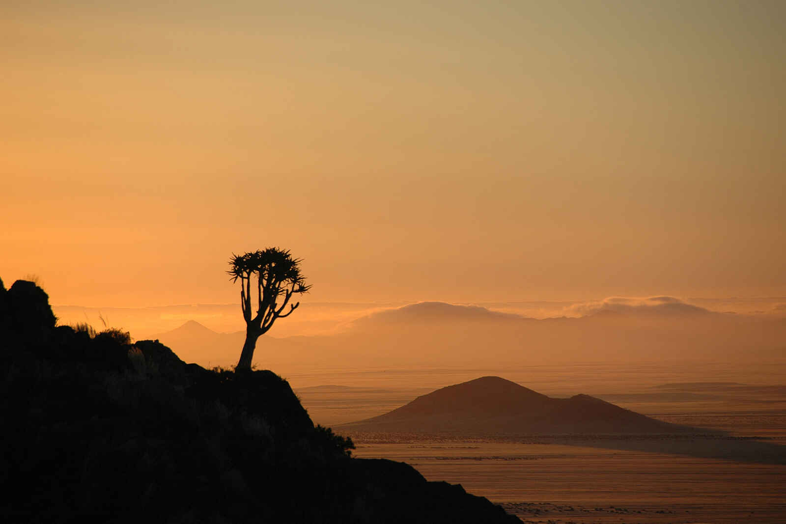 Desert Horse Inn: Köcherbaum im Gondwana Sperrgebiet Rand Park Desert Horse Inn: Köcherbaum im Gondwana Sperrgebiet Rand Park