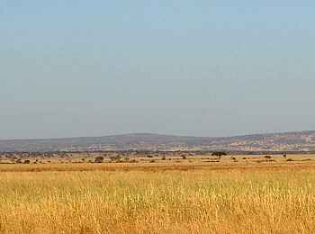 Kuro Tarangire: Hügel am Horizont Kuro Tarangire: Hügel am Horizont