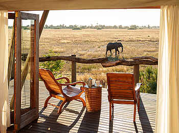 Kwetsani Camp: Elefant vor der Terrasse