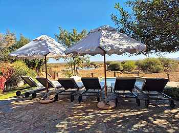 Last Word Madikwe Lodge: Am Pool