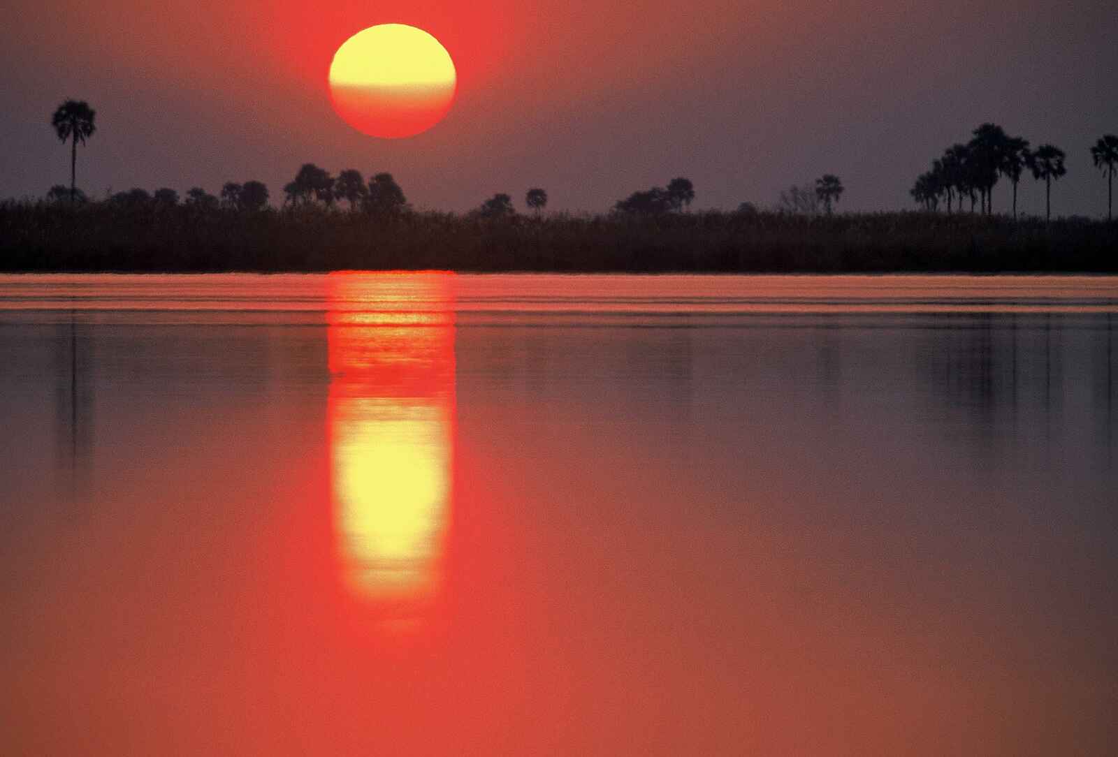 Machaba Camp: Sonnenuntergang Machaba Camp: Sonnenuntergang