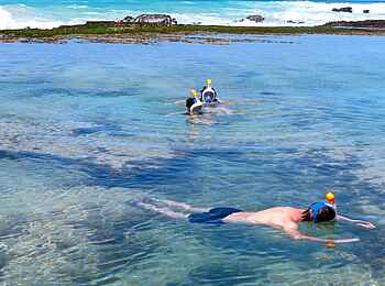 Morukuru Beach Lodge: Schnorcheln vom Strand Morukuru Beach Lodge: Schnorcheln vom Strand