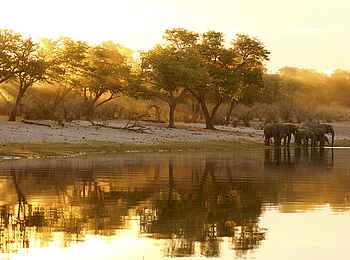 Nambwa Lodge: Elefanten beim Trinken Nambwa Lodge: Elefanten beim Trinken