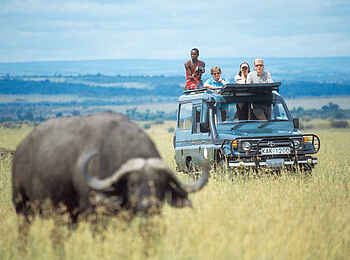 Rekero Camp: Büffelsichtung Rekero Camp: Büffelsichtung