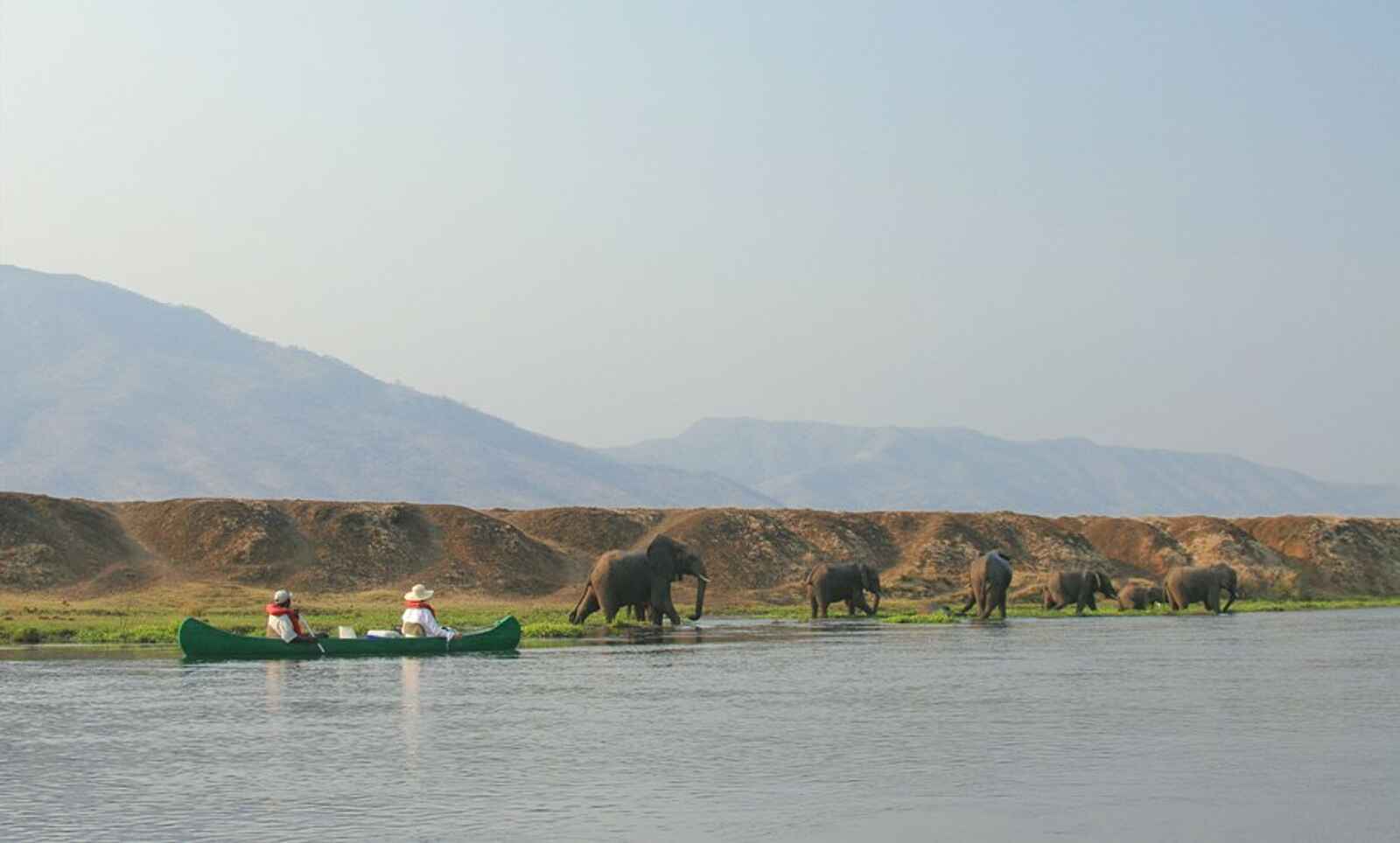 Royal Zambezi Lodge: Elefanten am Sambesi-Ufer Royal Zambezi Lodge: Elefanten am Sambesi-Ufer