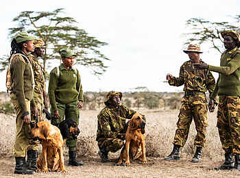 Segera Retreat: Eine Hundestaffel gegen Wilderei