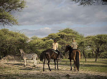 Thamo Telele Camp: Reitsafari Thamo Telele Camp: Reitsafari