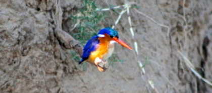 Lower Zambezi