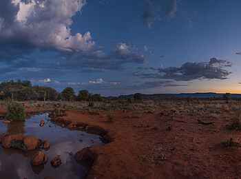 Madikwe Hills Private Game Lodge: Wasserloch vor Madikwe