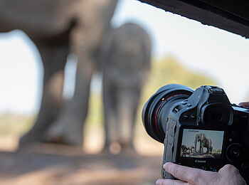Mashatu Photographic Hide: Nahaufnahmen