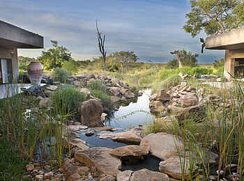 Sabi Sabi Earth Lodge: Kleiner Bach in der Lodge Sabi Sabi Earth Lodge: Kleiner Bach in der Lodge