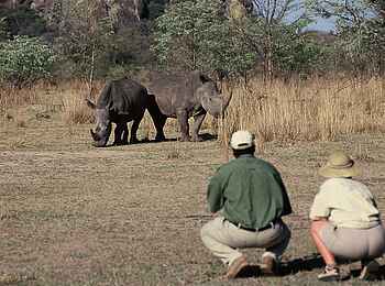 Big Cave Camp: Nashornbeobachtung