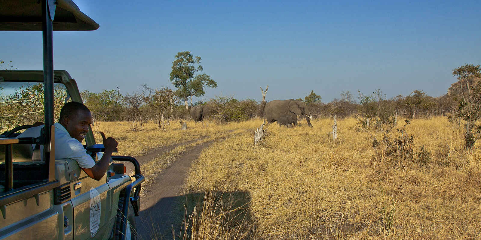Camp Savuti: Game Drive Camp Savuti: Game Drive