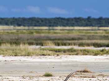 Etosha: Panoramaaussicht