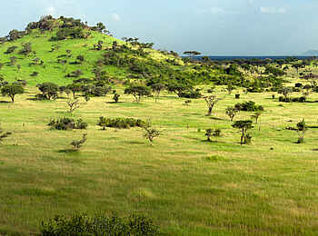 Grumeti Hills Camp: Blick in die hügelige Savanne