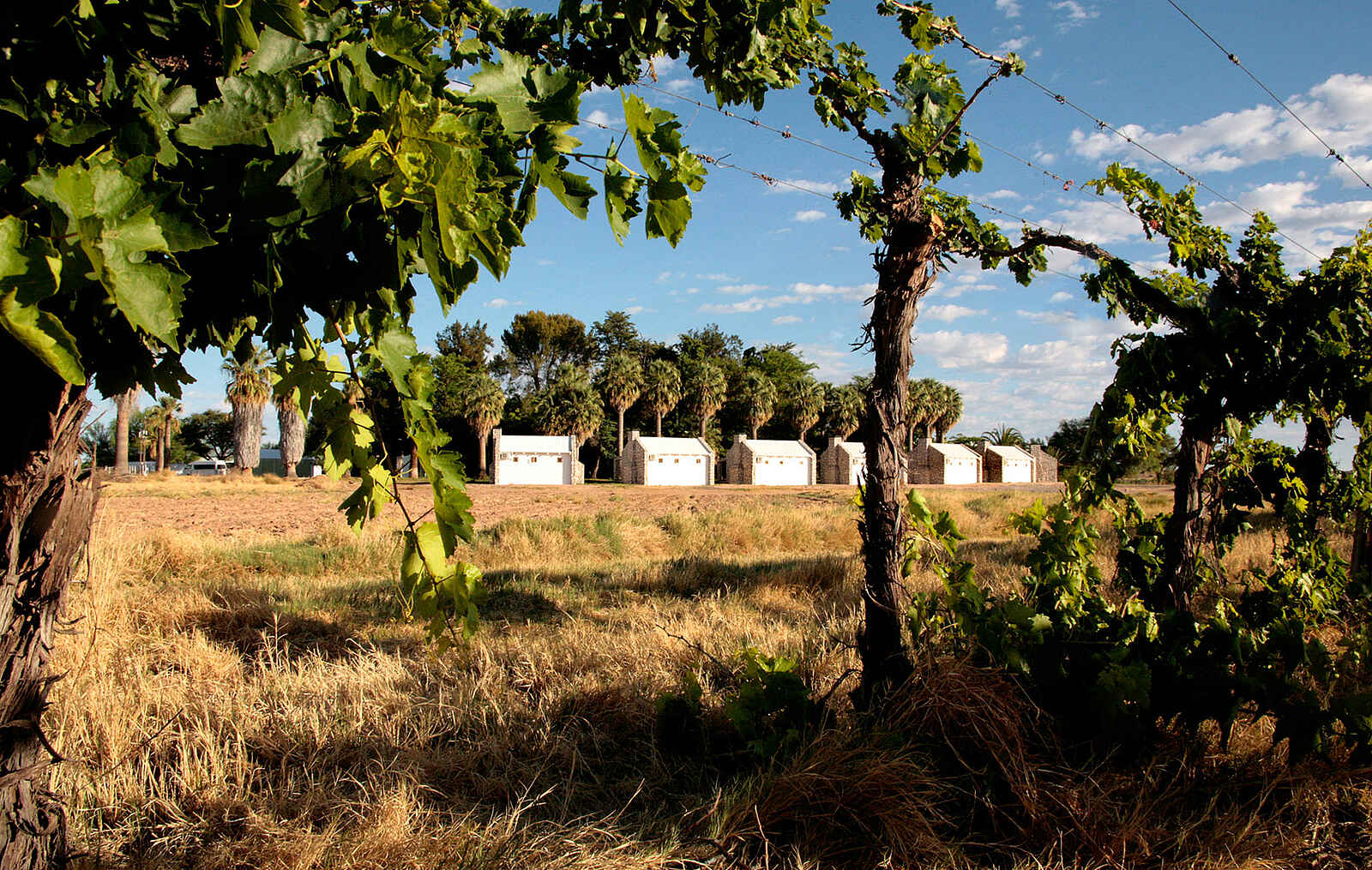 Kalahari Farmhouse: Gästechalets Kalahari Farmhouse: Gästechalets