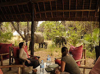 Lake Manze Camp: Familientreffen Lake Manze Camp: Familientreffen