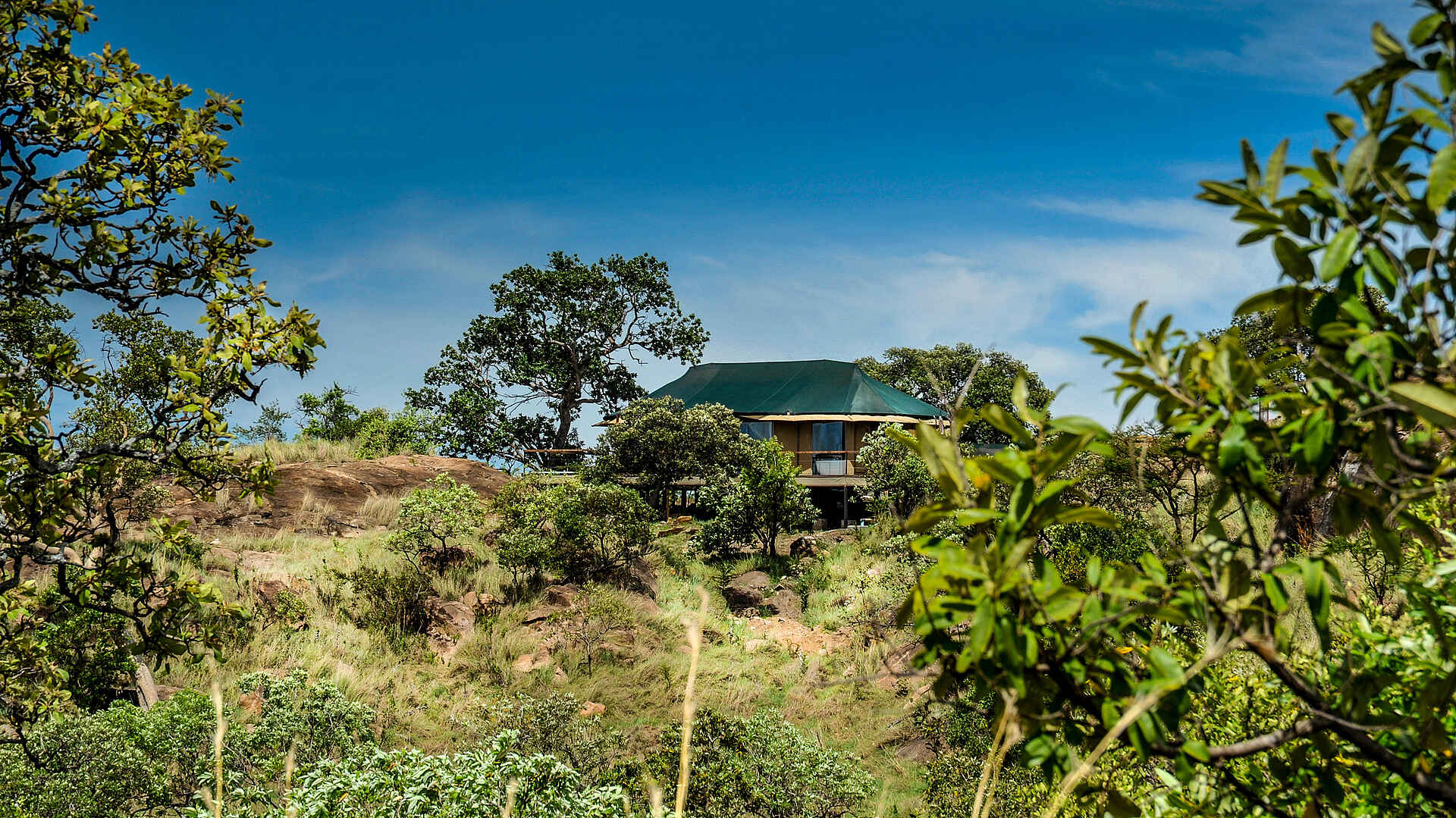 lemala kuria hills, lemala kuria hills bilder, lemala kuria hills lodge, serengeti safari, suite, unterkunft, zelt