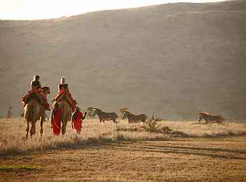 Lewa Safari Camp: Kamelsafari