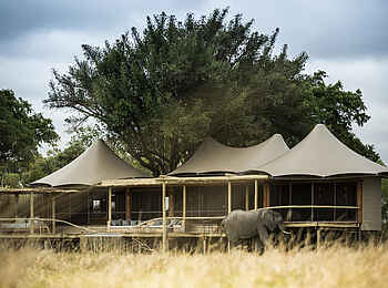 Little Mombo Camp: Suite Ansicht