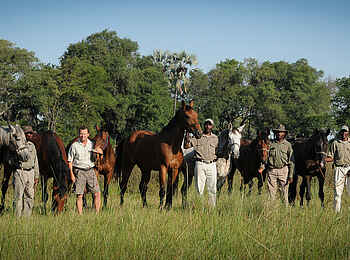 Macatoo Camp: Neue Pferde