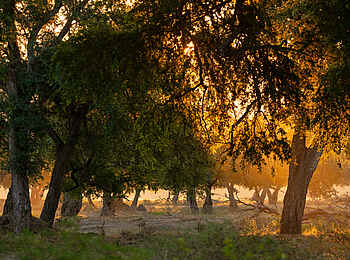 Mara River Camp: Unterwegs Mara River Camp: Unterwegs