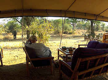 Mdonya Old River Camp: Blick aus der Lounge