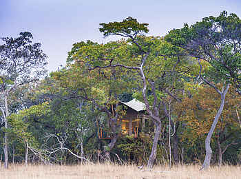 Mukambi Fig Tree Bush Camp: Die Gästezelte sind mit viel Platz zueinander aufgebaut