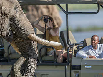Nyamatusi Mahogany: unvergessliche Eindrücke