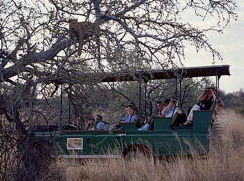 Okonjima Plains Camp: Such bild mit Leopard Okonjima Plains Camp: Such bild mit Leopard
