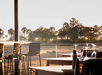 Qorokwe Camp: Ausblick