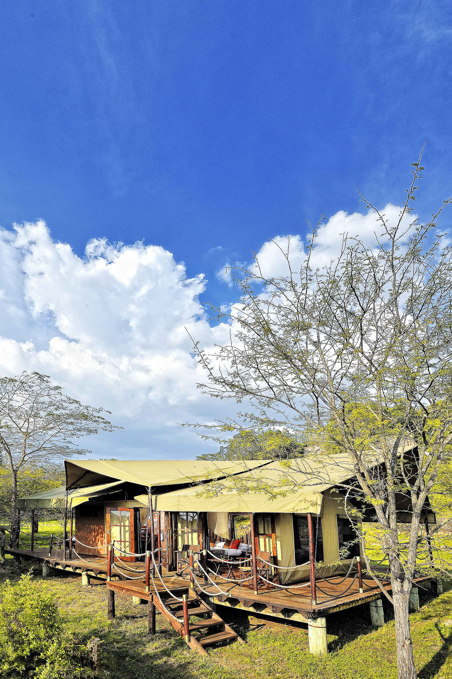 Serengeti Migration Camp: Außenansicht eines Gästezeltes