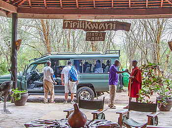 Tipilikwani Mara Camp: Los gehts