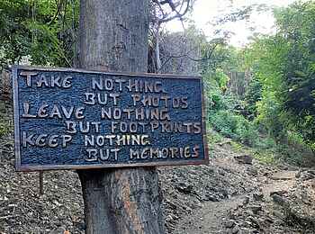 Blue Zebra Island Lodge: Zum Nature Trail