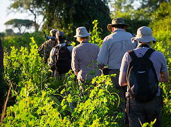 Time + Tide Nsolo: Buschwanderung im Dickicht