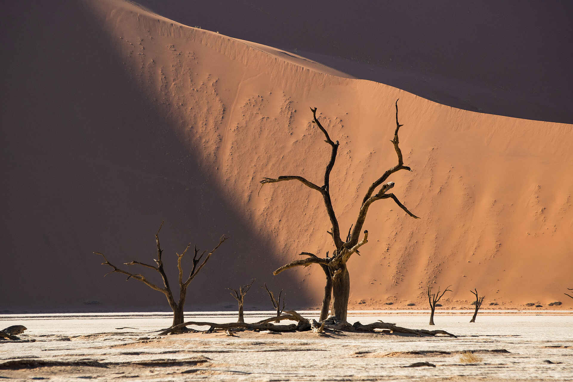 Camp Sossus: Deadvlei Camp Sossus: Deadvlei