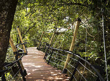Mara Toto Tree Camp: Wege hoch in den Bäumen