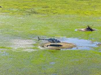 MmaTsebe Tented Camp: Helikopter Landung