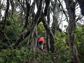 Mutanda Lake Resort: Wanderung Mutanda Lake Resort: Wanderung