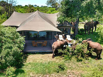 Old Drift Lodge: Elefanten vor einer Suite Old Drift Lodge: Elefanten vor einer Suite