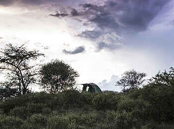 Oliver's Camp: Fly-Camp-Zelt im Busch Oliver's Camp: Fly-Camp-Zelt im Busch