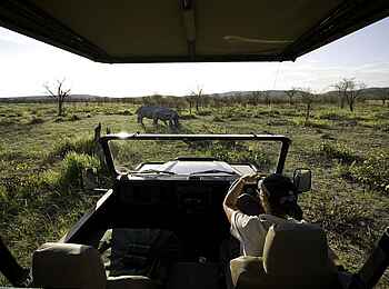 Ongava Lodge: Pirschfahrt Ongava Lodge: Pirschfahrt