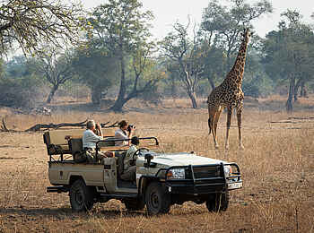 Robin's House: Unterwegs im South Luangwa Nationalpark Robin's House: Unterwegs im South Luangwa Nationalpark